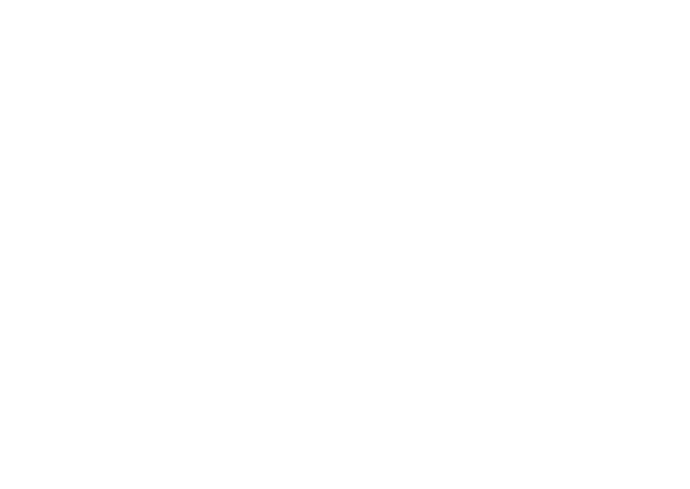 THE ART OF Outdoor CUISINE 