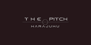 THE PITCH